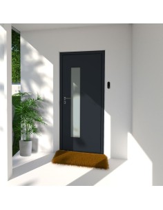 Porte d'Entrée en Aluminium...