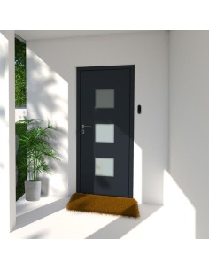 Porte d'Entrée en Aluminium...