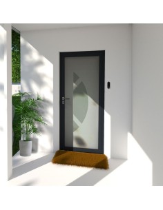 Porte d'Entrée Vitrée...